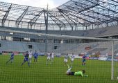 steinbors_karny_ruch_1314_6756