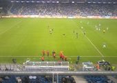 Murawa6_Lech_Gornik_1314a