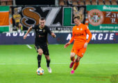 Sekulic_Lubin_Gornik_2019-21